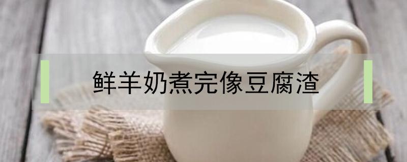 鲜羊奶煮完像豆腐渣（鲜羊奶煮完像豆腐渣图）