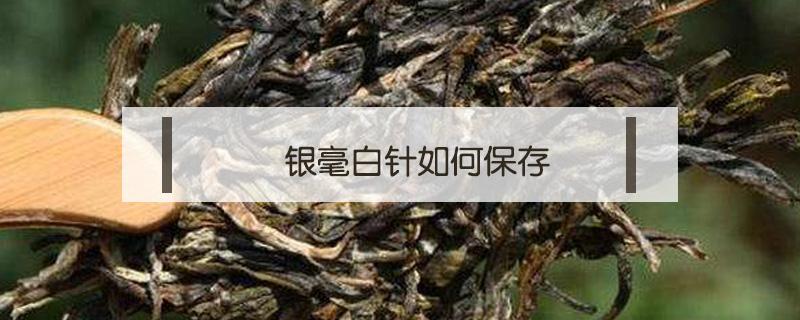 银毫白针如何保存 白针银毫能保存多久