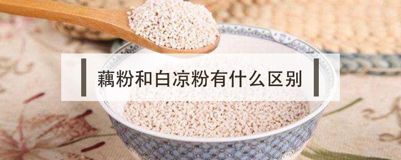 藕粉和白凉粉有什么区别（凉粉是藕粉吗）