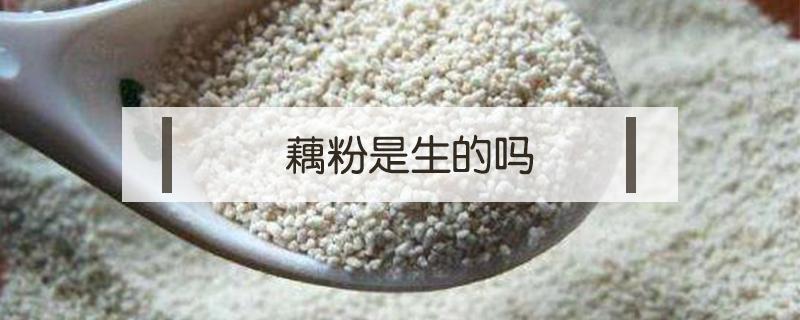 藕粉是生的吗（藕粉是生的吗,可以直接吃吗）