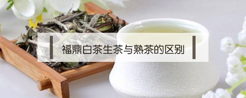 福鼎白茶生茶与熟茶的区别（福鼎白茶有生熟之分吗?）