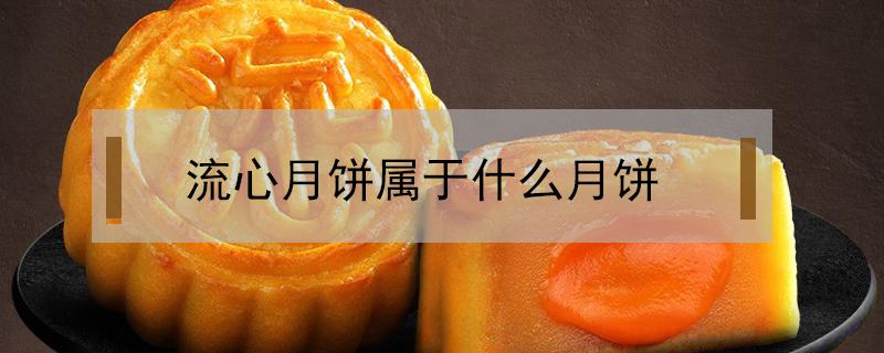 流心月饼属于什么月饼（流心月饼种类）