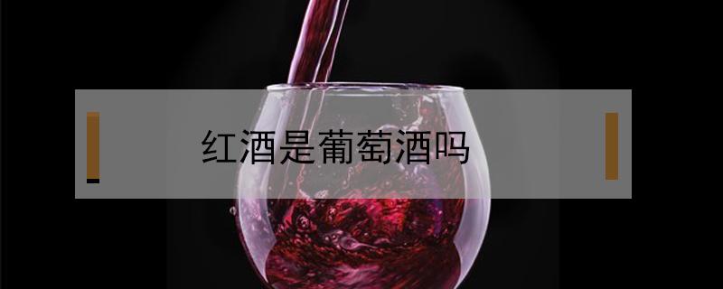 红酒是葡萄酒吗（葡萄酒就是红酒吗）