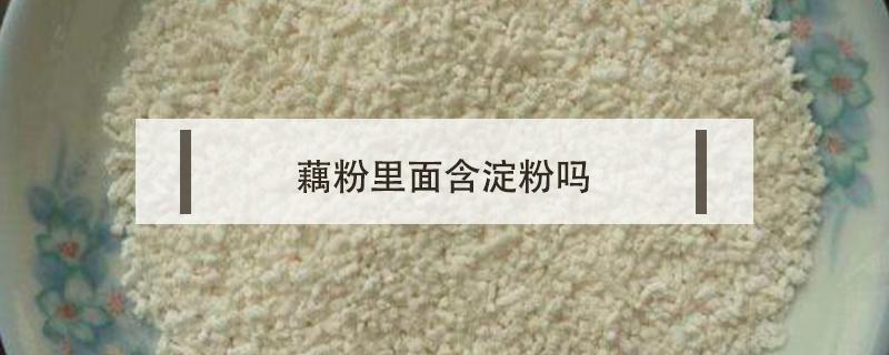 藕粉里面含淀粉吗（藕粉里是淀粉吗）