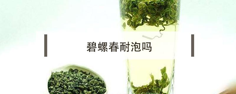 碧螺春耐泡吗 碧螺春泡好以后什么样