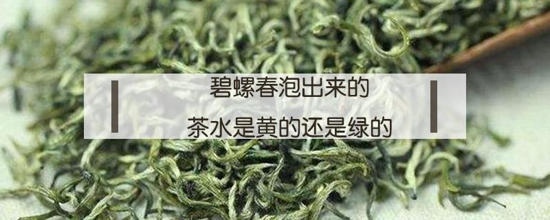 碧螺春泡出来的茶水是黄的还是绿的