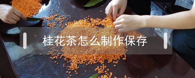 桂花茶怎么制作保存 桂花怎么做茶保存