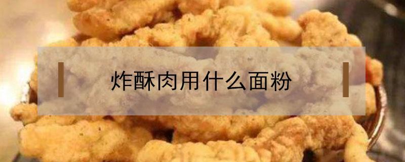 炸酥肉用什么面粉（炸酥肉用什么面粉最脆）