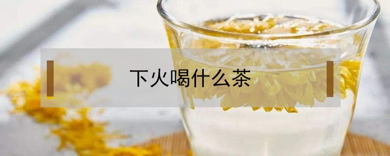 下火喝什么茶（孕妇下火喝什么茶）