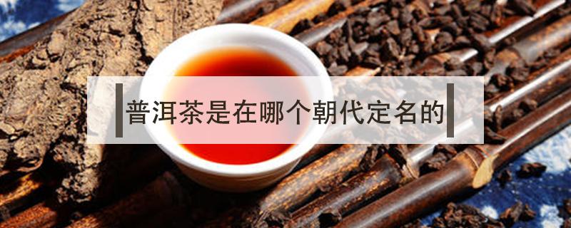 普洱茶是在哪个朝代定名的（普洱茶始于什么年代）