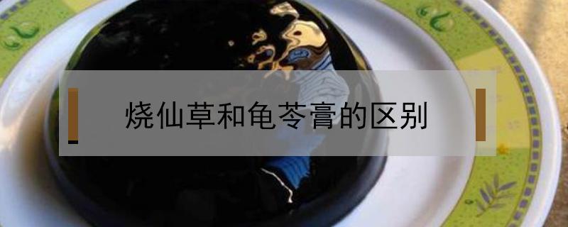 烧仙草和龟苓膏的区别 烧仙草和龟苓膏有啥区别