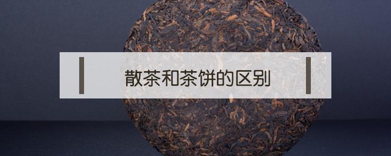 散茶和茶饼的区别（福鼎白茶散茶和茶饼的区别）