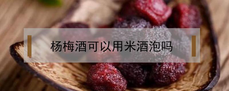 杨梅酒可以用米酒泡吗 米酒和白酒可以一起泡杨梅吗