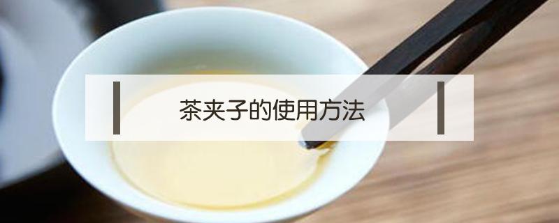 茶夹子的使用方法