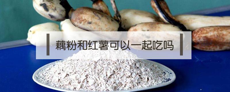 藕粉和红薯可以一起吃吗 紫薯和藕粉可以一起吃吗