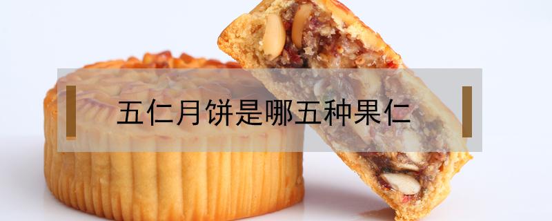 五仁月饼是哪五种果仁（月饼中五仁果子那样叫五仁?）