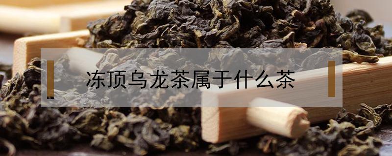 冻顶乌龙茶属于什么茶（冻顶乌龙茶属于什么茶种）