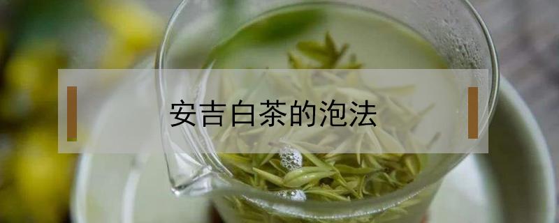 安吉白茶的泡法（安吉白茶的泡法的正确方法）