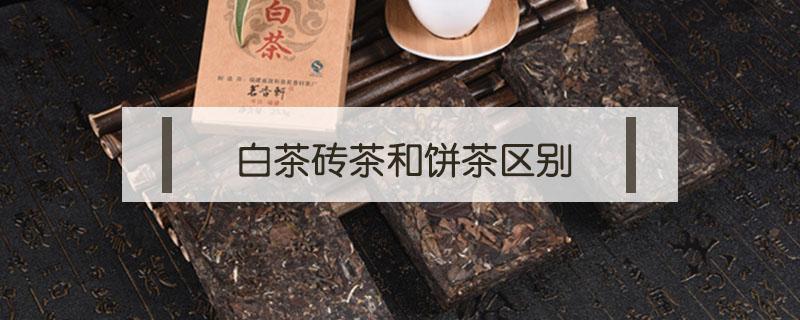 白茶砖茶和饼茶区别 普洱茶砖茶和饼茶的区别