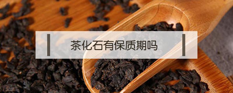 茶化石有保质期吗 普洱茶化石有保质期吗