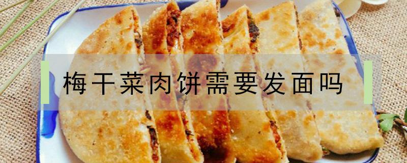 梅干菜肉饼需要发面吗（梅干菜扣肉饼面团是怎么发的）