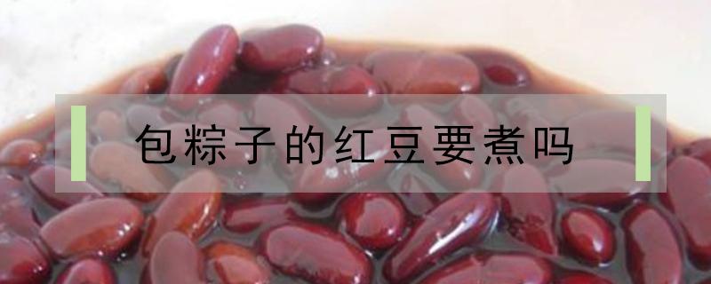 包粽子的红豆要煮吗（包粽子的红豆需要煮吗）