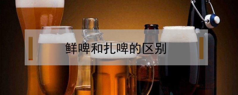 鲜啤和扎啤的区别