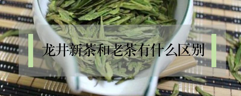 龙井新茶和老茶有什么区别 龙井陈茶和新茶的区别