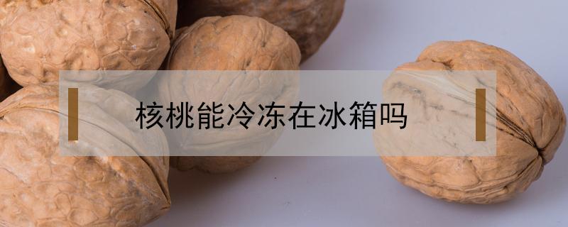 核桃能冷冻在冰箱吗?