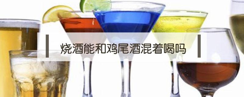 烧酒能和鸡尾酒混着喝吗