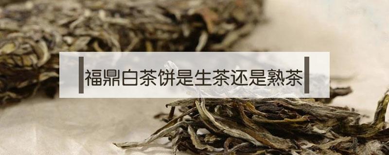 福鼎白茶饼是生茶还是熟茶 福鼎白茶饼与白茶有啥区别