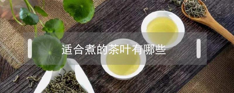 适合煮的茶叶有哪些（适合水煮的茶叶有哪些）