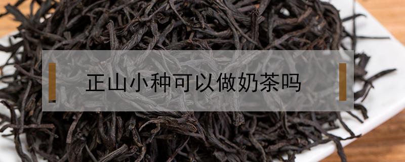 正山小种可以做奶茶吗（奶茶用普洱好还是正山小种）