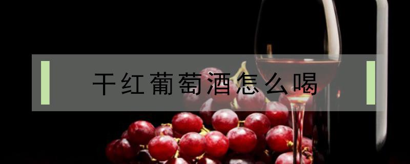 干红葡萄酒怎么喝 干红葡萄酒怎么喝比较好