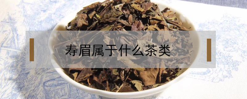 寿眉属于什么茶类（寿眉是属于什么茶类）