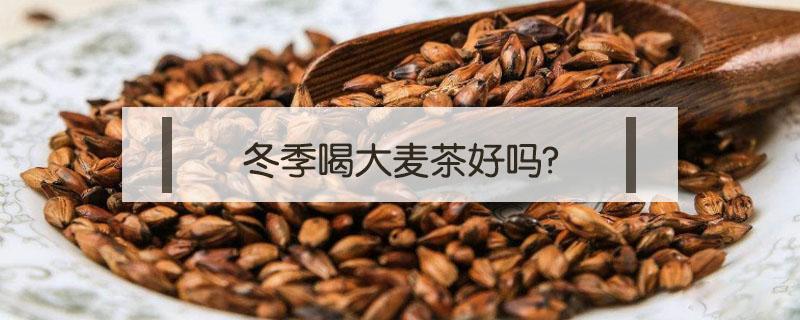 冬季喝大麦茶好吗?（冬天适不适合喝大麦茶）