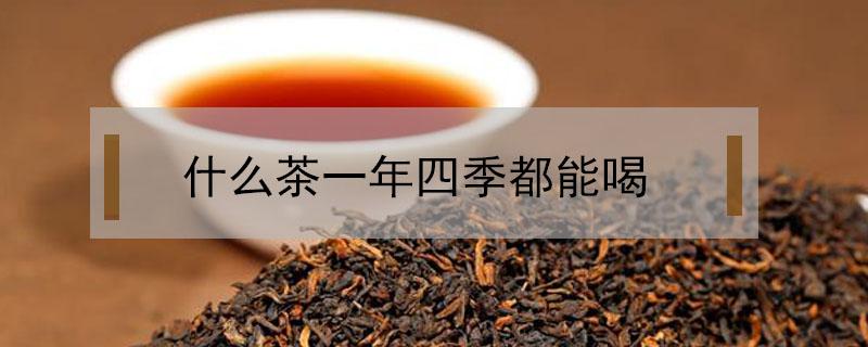 什么茶一年四季都能喝 什么茶可以一年四季喝