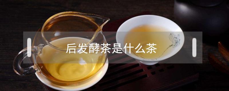 后发酵茶是什么茶（后发酵茶是什么茶乌龙）