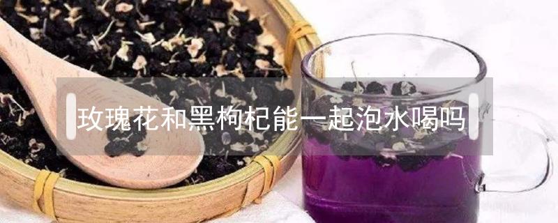 玫瑰花和黑枸杞能一起泡水喝吗 玫瑰花和黑枸杞子能一起泡水喝吗