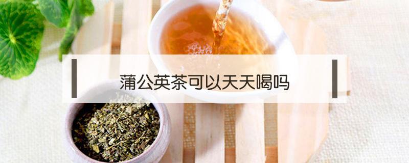 蒲公英茶可以天天喝吗（玉米须蒲公英茶可以天天喝吗）