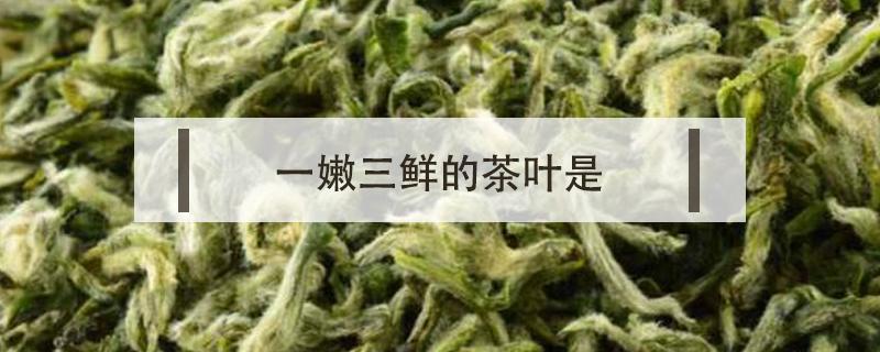 一嫩三鲜的茶叶是 一茶二茶三茶