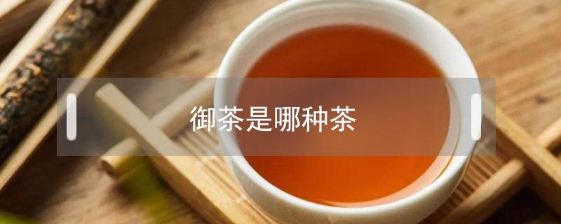 御茶是哪种茶 御品茶是什么茶