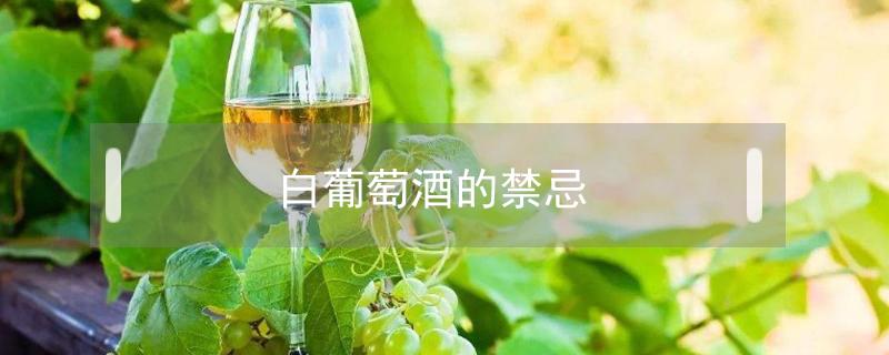 白葡萄酒的禁忌（喝白葡萄酒禁忌）