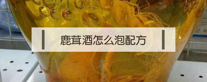 鹿茸酒怎么泡配方（鹿茸酒怎样泡制）