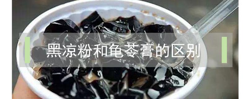 黑凉粉和龟苓膏的区别（黑凉粉和龟苓膏一样吗）