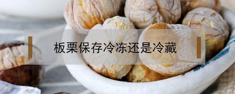 板栗保存冷冻还是冷藏（板栗保存是冷冻还是冷藏）