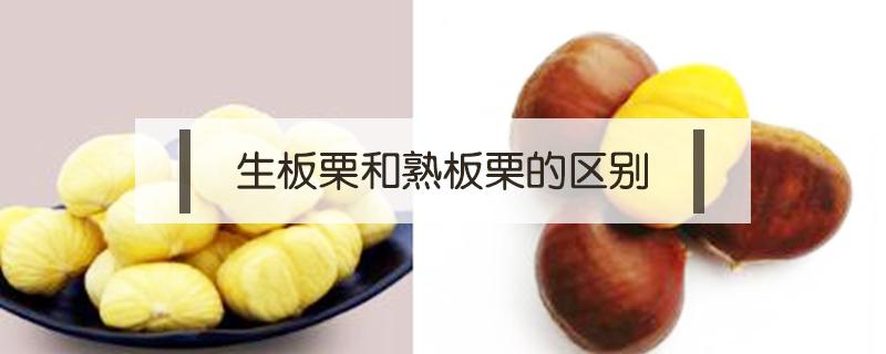 生板栗和熟板栗的区别（吃生板栗和熟板栗的区别）