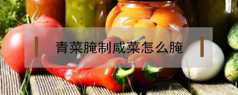 青菜腌制咸菜怎么腌（怎样腌制青菜咸菜）