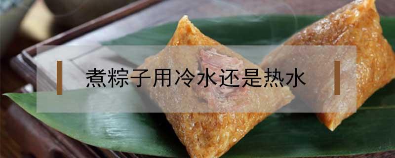 煮粽子用冷水还是热水（电压力锅煮粽子用冷水还是热水）