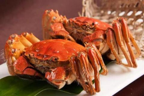 盘锦河蟹什么时候最肥？价格多少钱一斤？几月吃最好？